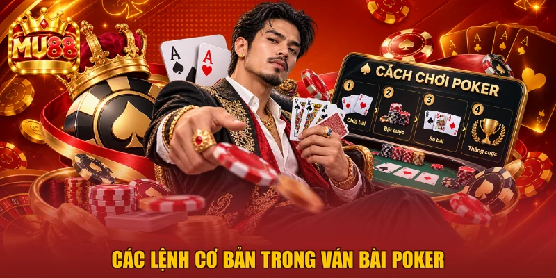 Các lệnh cơ bản trong ván bài Poker