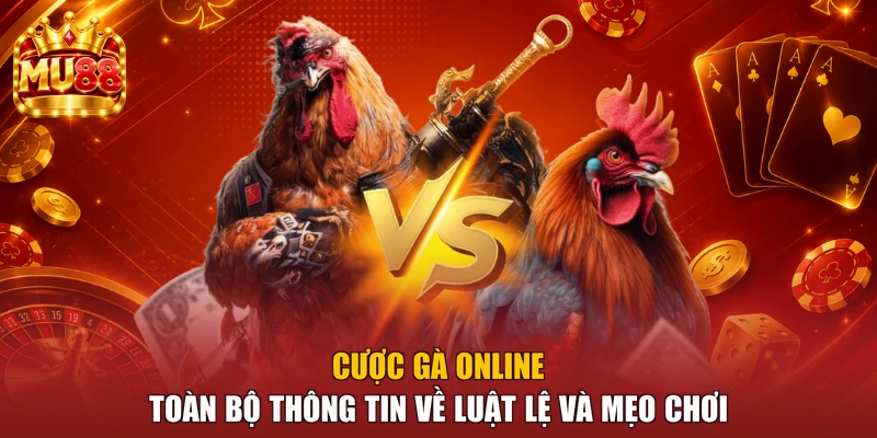 Cược Gà Online - Toàn Bộ Thông Tin Về Luật Lệ Và Mẹo Chơi