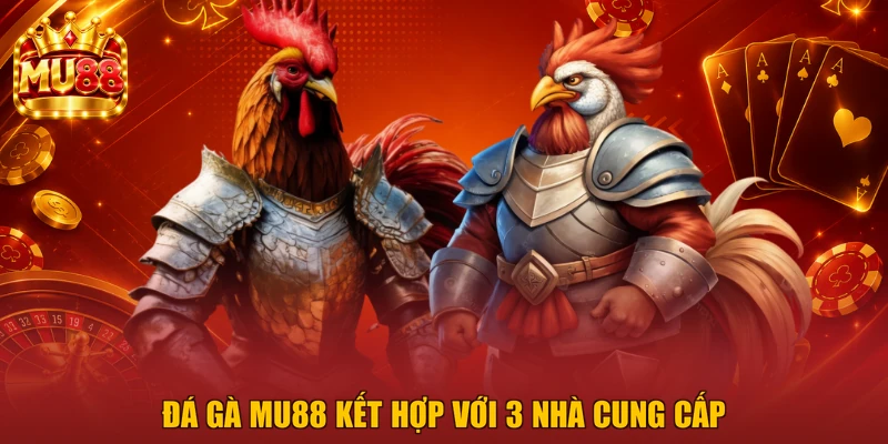 Đá gà MU88 kết hợp với 3 nhà cung cấp
