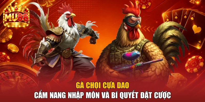 Gà Chọi Cựa Dao - Cẩm Nang Nhập Môn Và Bí Quyết Đặt Cược