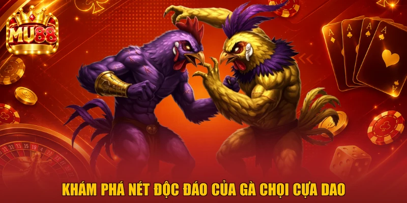 Khám phá nét độc đáo của gà chọi cựa dao