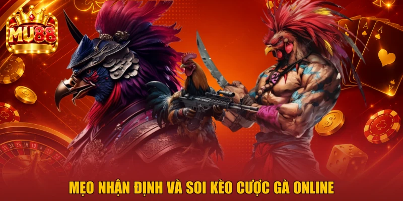 Mẹo nhận định và soi kèo cược gà online