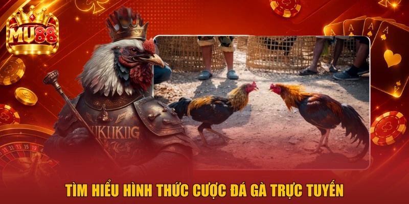 Tìm hiểu hình thức cược đá gà trực tuyến