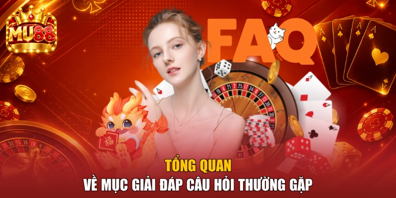 Tổng quan về mục giải đáp câu hỏi thường gặp