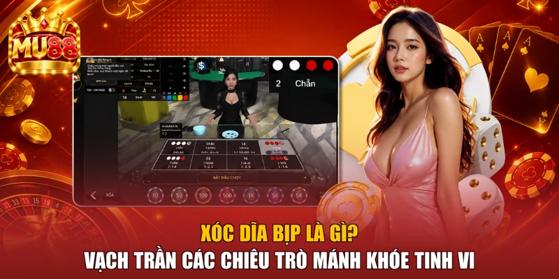 Xóc Dĩa Bịp Là Gì? Vạch Trần Các Chiêu Trò Mánh Khóe Tinh Vi